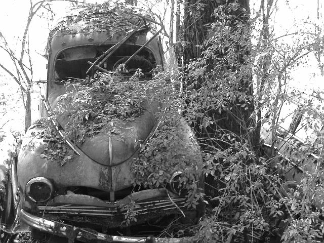 Autofriedhof - 138.JPG - Historischer Autofriedhof,    Gürbetal (CH)